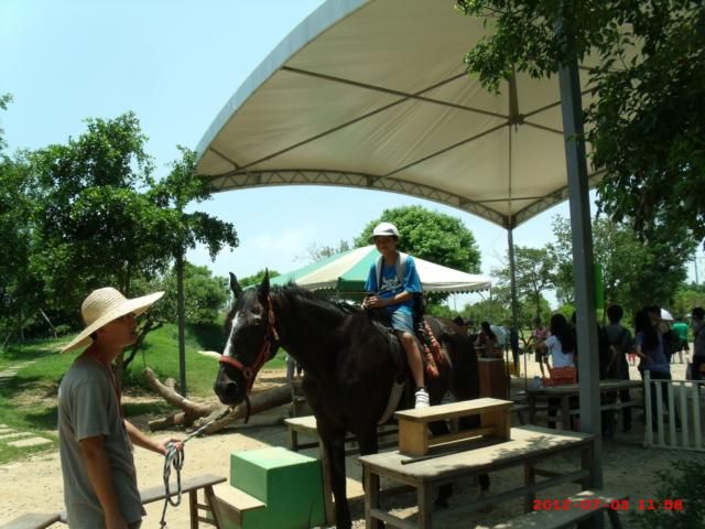 天馬農場之旅