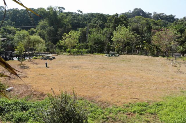 陳其生西施柚觀光果園-