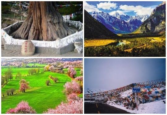 青藏雙鐵體驗‧.拉薩.林芝.波密‧日喀則全覽12天