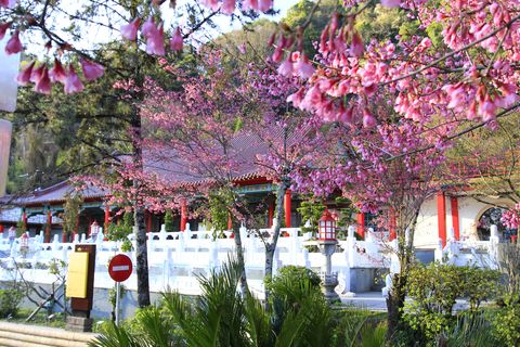 梨山賓館 風華再起-【梨山賓館】梨山住宿推薦─美景環繞的殿堂