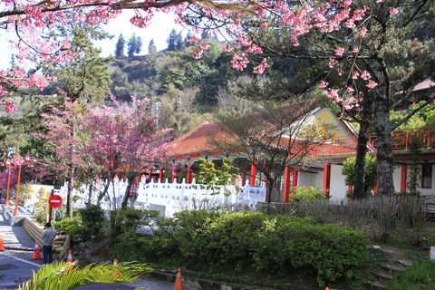 梨山精選照-【梨山賓館】梨山住宿推薦─美景環繞的殿堂