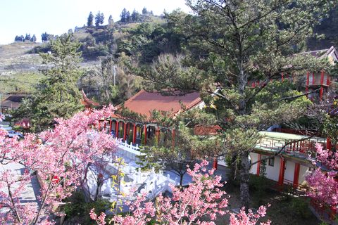 梨山精選照-【梨山賓館】梨山住宿推薦─美景環繞的殿堂