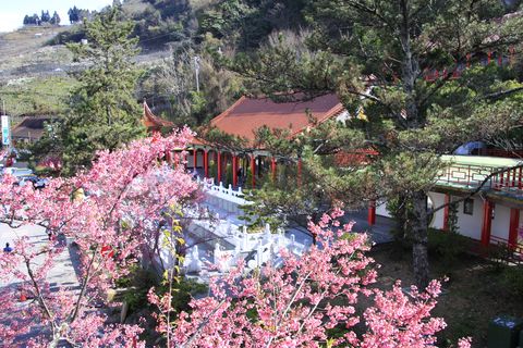 梨山精選照-【梨山賓館】梨山住宿推薦─美景環繞的殿堂