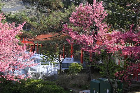 梨山精選照-【梨山賓館】梨山住宿推薦─美景環繞的殿堂