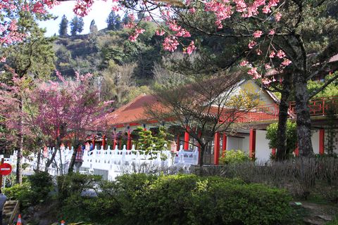 梨山精選照-【梨山賓館】梨山住宿推薦─美景環繞的殿堂