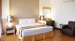 梨山賓館&ndash;豪華房(一大床)