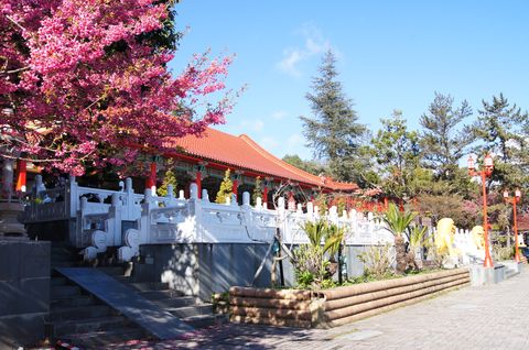 梨山精選照-【梨山賓館】梨山住宿推薦─美景環繞的殿堂