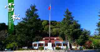 黎賓八景–雪松