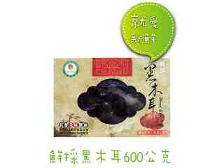 鮮採黑木耳