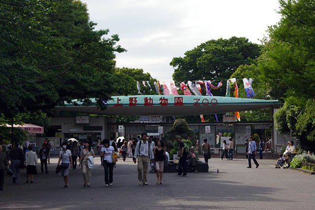 上野動物園-