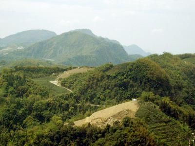 名陽園民宿