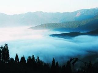 雲深不知處‧觀霧森林遊樂區