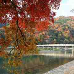 嵐山紅葉