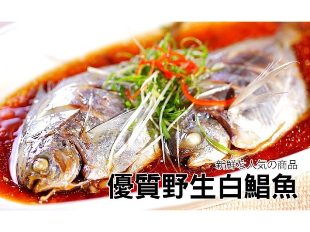 【台北濱江】嚴選生凍正白鯧魚300-400g隻-