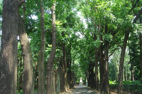 新威森林公園