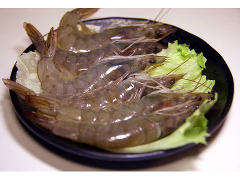 美食介紹