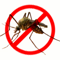 病媒防治 蚊子-