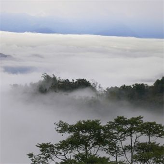 農場雲海-