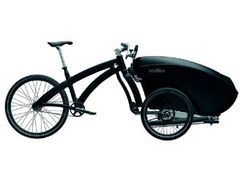 trioBike D01-