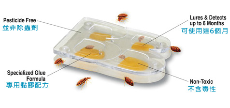 「香港商莊臣」Bed Bug Alert™ Monit臭蟲 床蝨 監測盒-