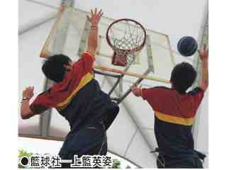 ●籃球社