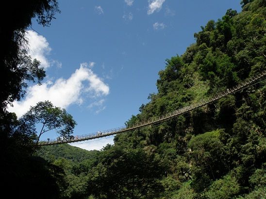 竹山天梯(梯子吊橋)-