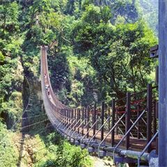 竹山天梯(梯子吊橋)