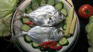 整尾魚類&ndash;三角魚