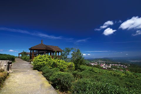 鳳凰自然教育園區(台大茶園)