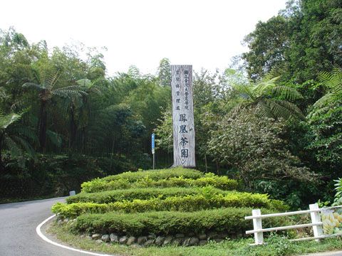 鳳凰自然教育園區(台大茶園)