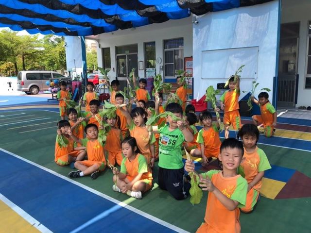 大班蘿蔔收成了-臺南市私立小孔明創客幼兒園
