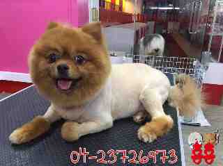 喜狗喜貓寵物生活館