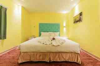 精緻型 Single Bed 01