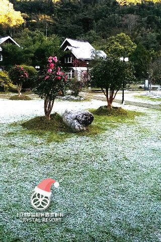 晶園下雪了