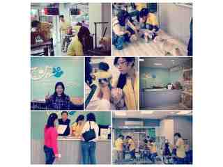 優里寵物健康SPA館