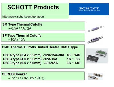 SCHOTT/Battery Fuse-