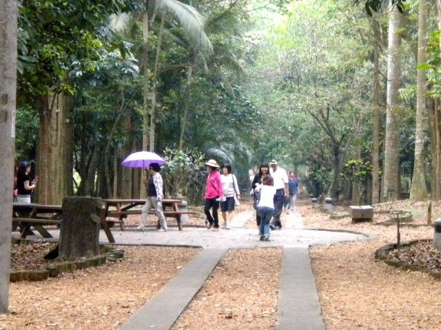 台大熱帶樹木標本園