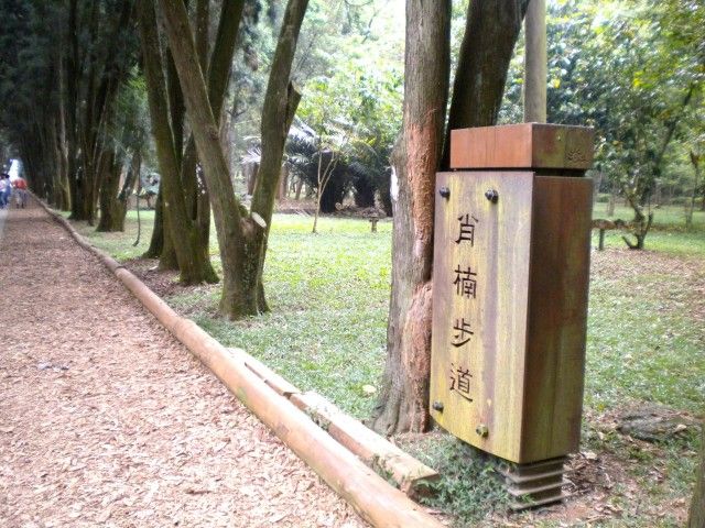 台大熱帶樹木標本園