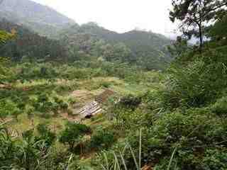 大山背休閒農業區