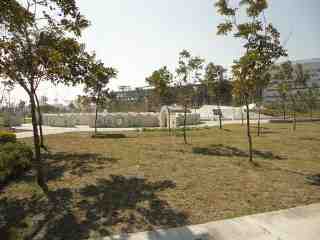南科公19公園迷宮