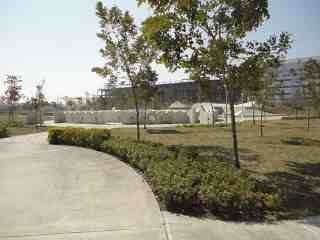 南科公19公園迷宮