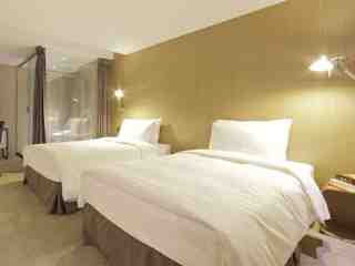 台中鳥日子 白文鳥標準