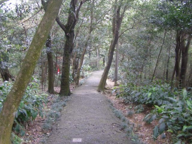 紅淡山步道