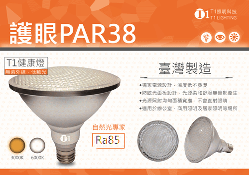 CCFL PAR38冷陰極燈泡-
