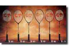 Badminton–racket