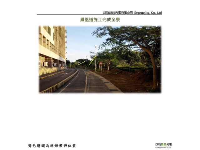 樹德科技大學鳳凰道路燈照明-