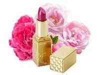 AI&ndash;15野玫瑰護潤唇膏