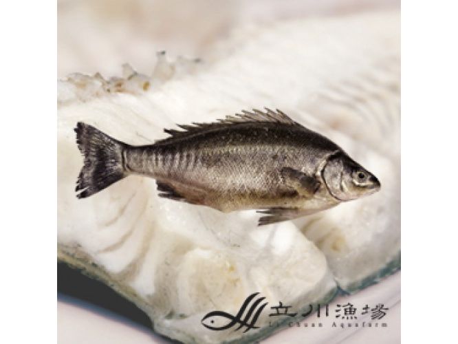 貴妃魚(全魚)300g