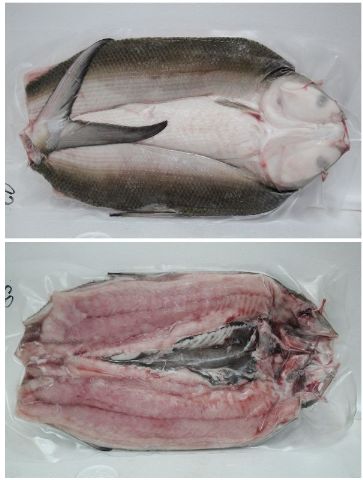虱目魚 750–850g-