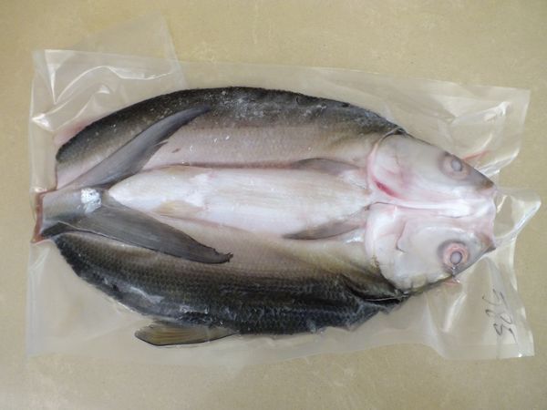 虱目魚 500–600g-